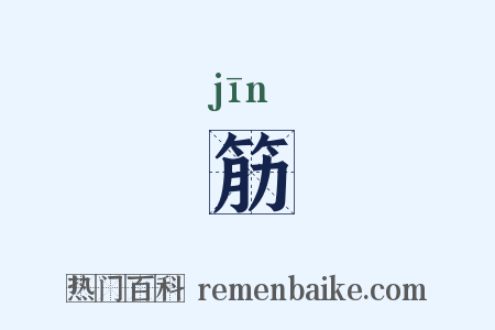 筋是什么意思的图片